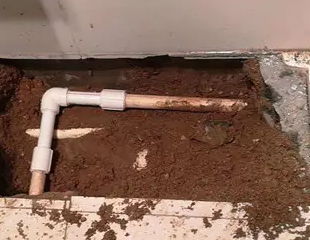 盖州测漏水哪家好