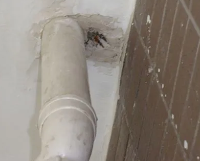 盖州漏水检测哪家好